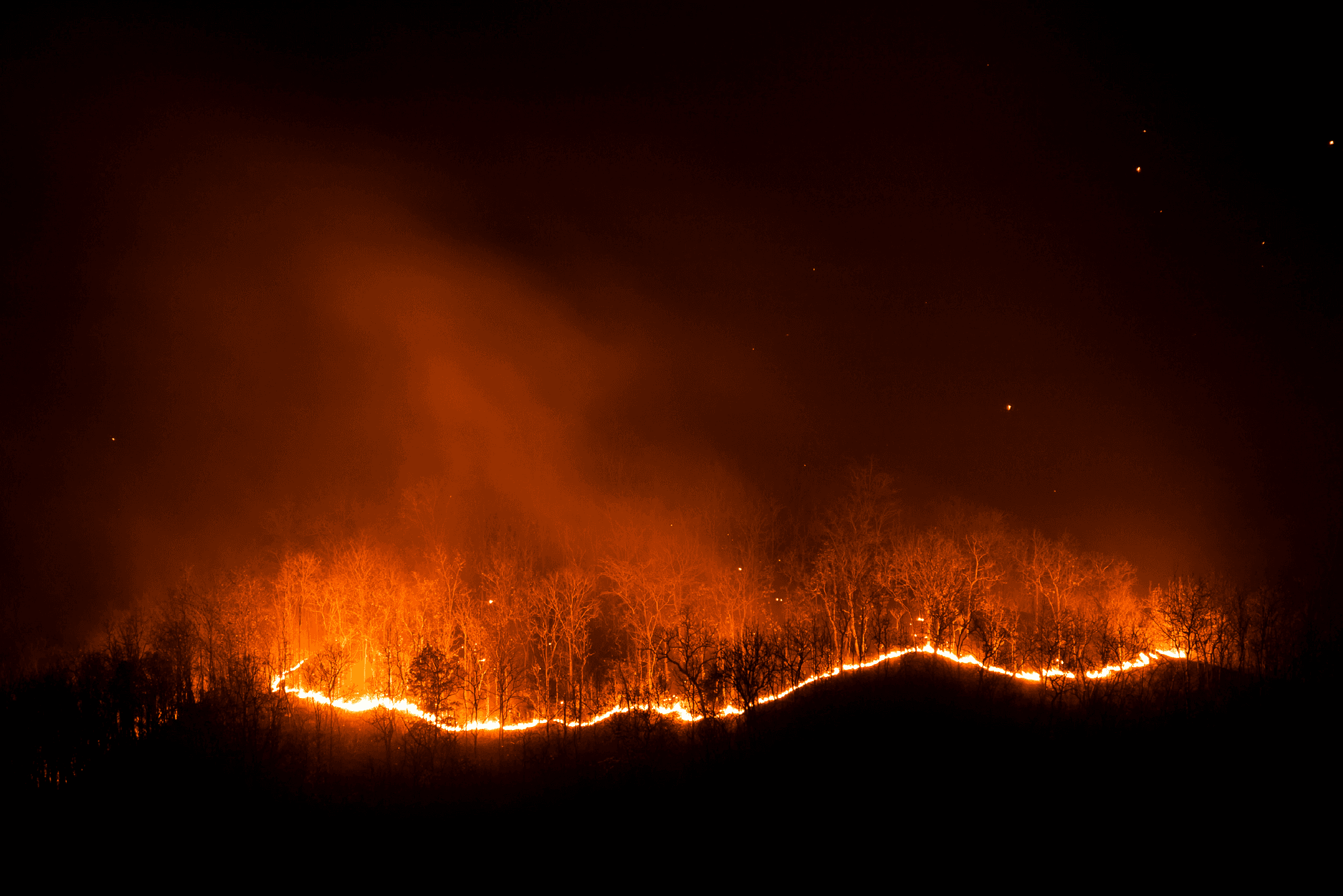 El Impacto de los Incendios Forestales en el Medio Ambiente y la Comunidad