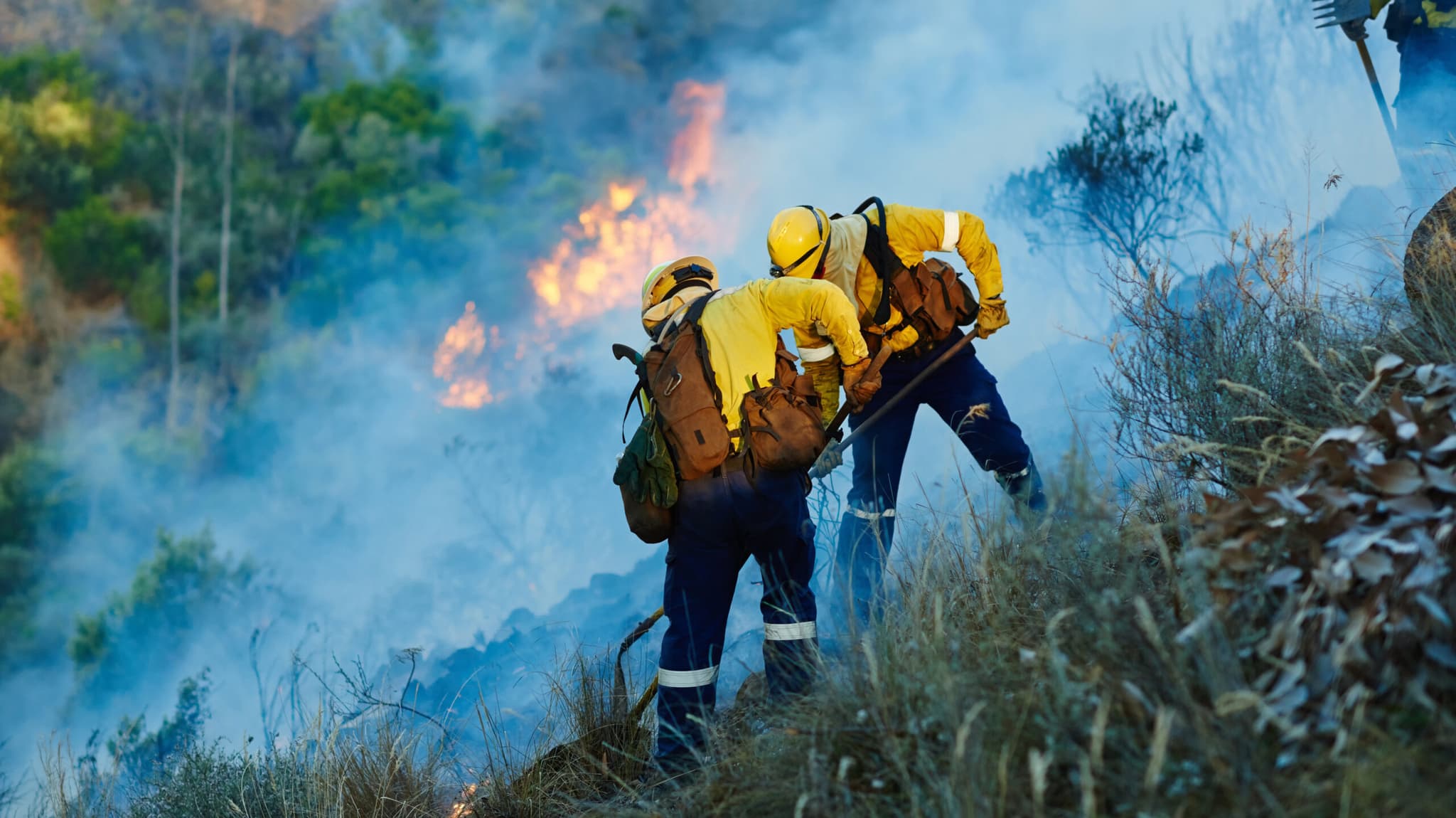 Cómo se prepara una brigada para enfrentar incendios forestales.